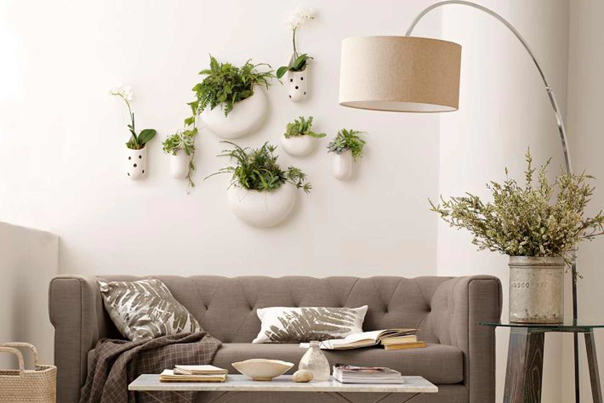 Комнатные растения в интерьере квартиры: правила оформления