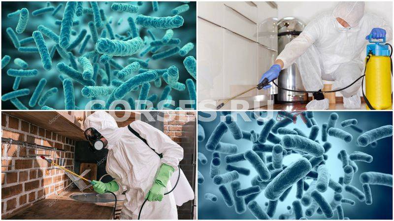 10 самых злачных мест для бактерий, которые вы постоянно посещаете