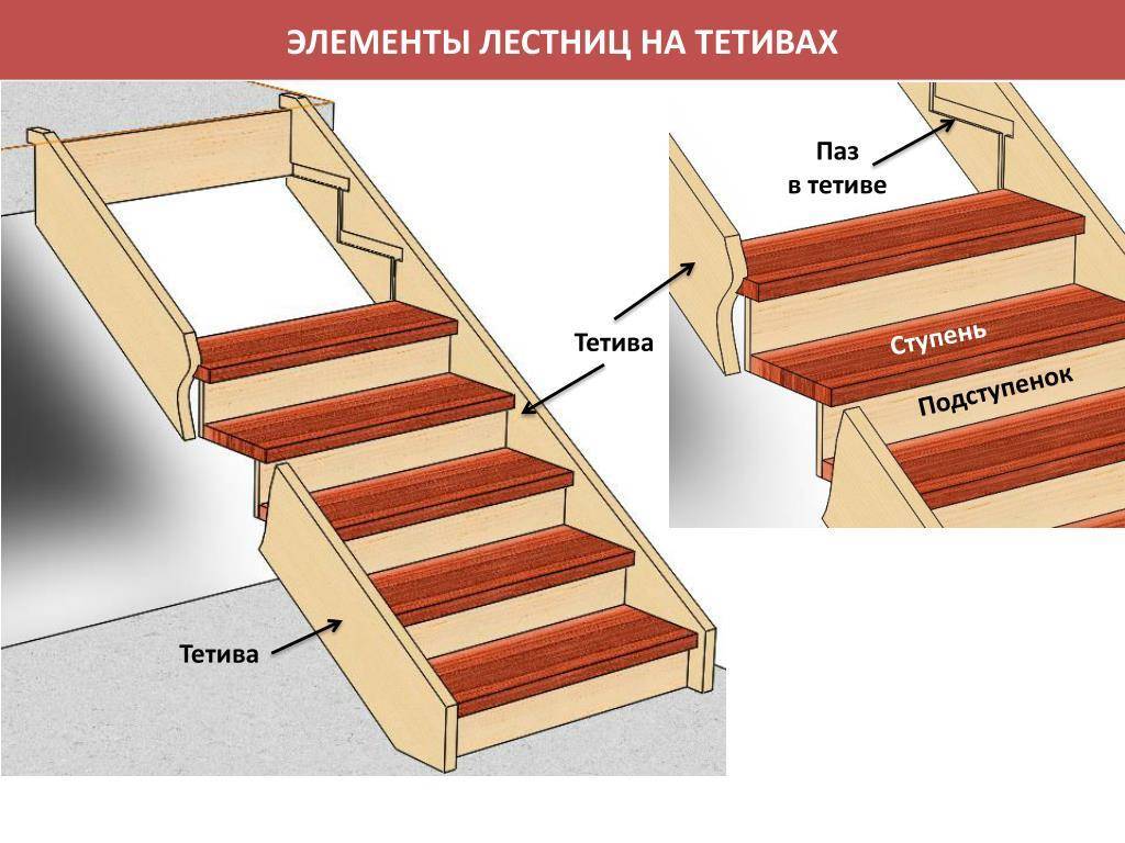 Как правильно вырезать тетиву для деревянной лестницы — основные виды и особенности