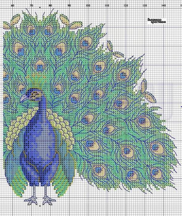 Вышивка крестом павлина: схему бесплатно скачать, набор белый без регистрации, монохром гладью и китайские пальмы