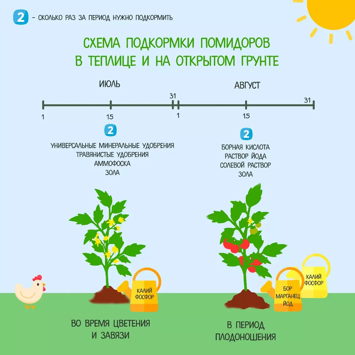 Уход за томатами в теплице из поликарбоната: выращивание и пасынкование