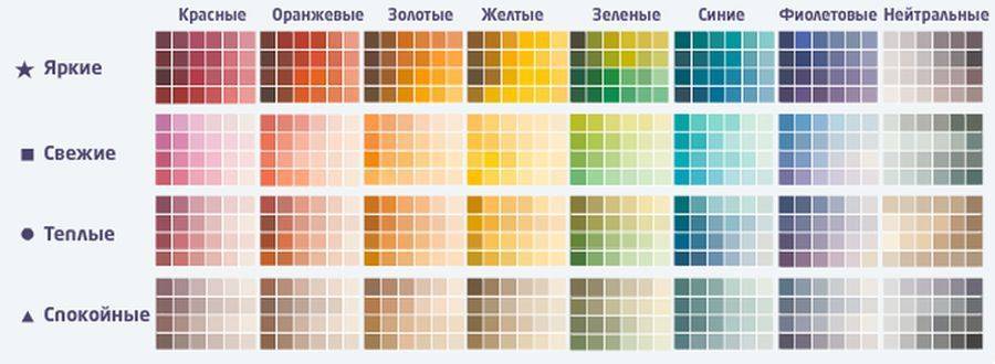 Краска для стен: характеристики, виды и выбор
