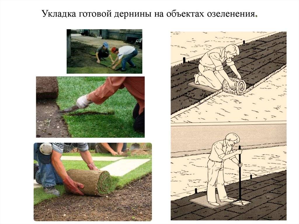Подробная инструкция по укладке рулонного газона своими руками