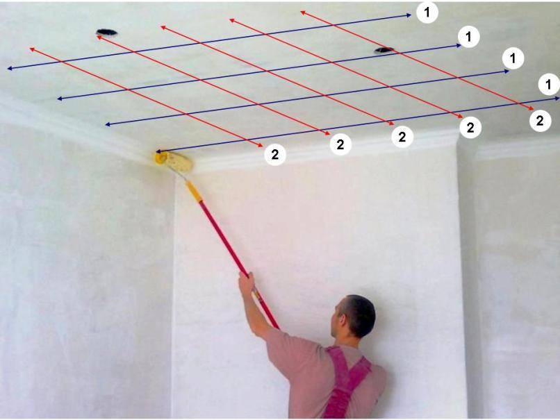 Как правильно красить потолок валиком: хитрости покраски (видео), как побелить?