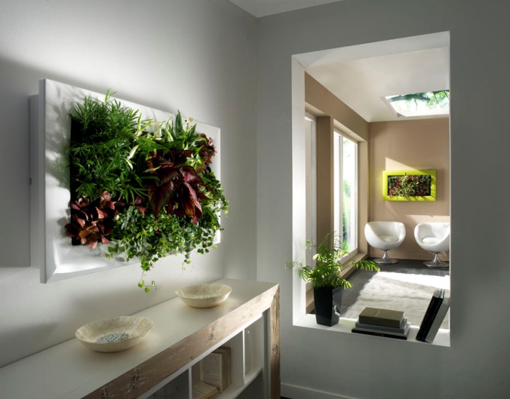 Зеленые комнатные растения в интерьере квартиры - decorwind