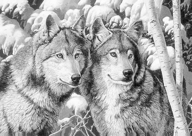 Схемы и значение вышивки с волками