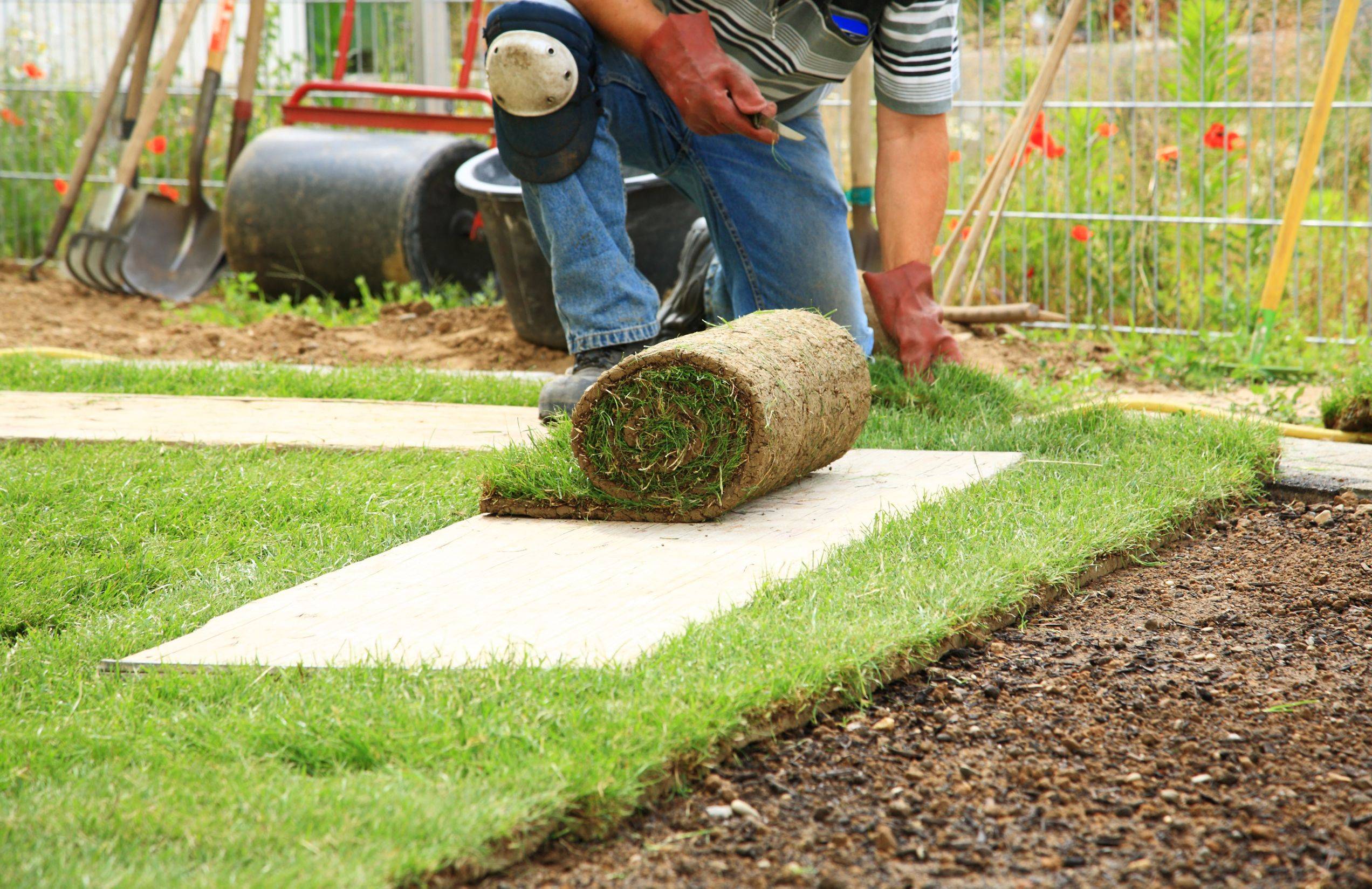 Искусственный газон для дачи: преимущества рулонного покрытия, укладка и уход
